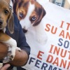 Test cosmetici su animali, da domani divieto assoluto.