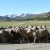 Maggio in Abruzzo