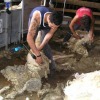 Neozelandesi in trasferta, inizio tour ad Anversa degli Abruzzi