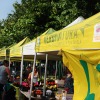Si tinge di 'giallo' la settima tappa del giro d'Italia