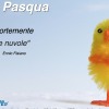 Buona Pasqua a tutti! Le Celebrazioni eucaristiche nelle città capoluogo