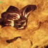 Torta sfoglia con radicchio, gorgonzola e stracchino