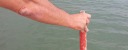 Porto di Pescara: Marineria misura profondit&agrave; dei fondali