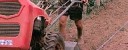 Finisce con la gamba sotto la motozappa, agricoltore in gravi condizioni