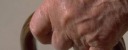 Aggressioni fisiche e verbali ad anziani genitori, arrestato