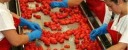 CIA, agroalimentare "regge" a crisi crollo consumi