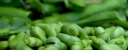 Le fave: un alimento molto salutare!