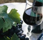 L'Abruzzo dei vini fa incetta di premi al concorso di Bruxelles