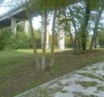 Parco fluviale (TE)