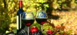Vino, due giovani imprenditori teatini alla conquista di Parigi