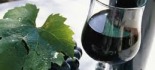 L'Abruzzo dei vini fa incetta di premi al concorso di Bruxelles