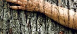 Gli otto principi di Ecologia profonda