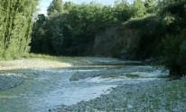 Riserva Bosco di Don Venanzio: il bosco sui terrazzi fluviali
