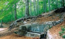 Domenica 26 Maggio una bella giornata da trascorrere