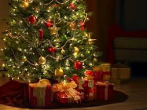 Codacons: natale 2012 consumi ridotti sopratutto sotto l'albero