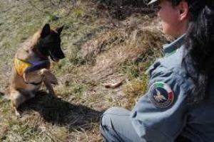 I nuclei cinofili del Corpo Forestale, sventano tentata strage di fauna nei parchi d'Abruzzo