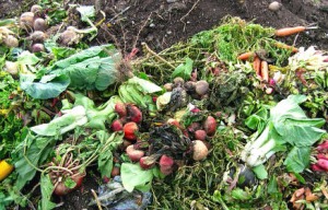 Odori nauseabondi dalla centrale a biogas di Roseto, cittadini in rivolta