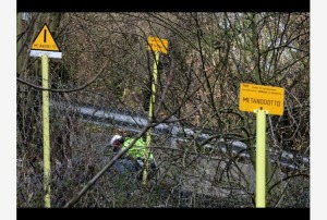 News Of Tavenna Woman Killed Car Accident November News Of Tavenna Woman Killed Car Accident November