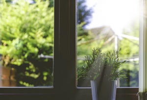 Non abbandonare la tua passione per la coltivazione