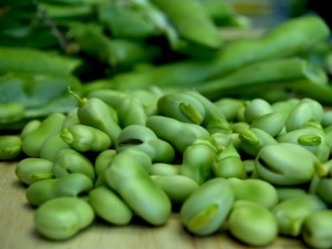 Le fave: un alimento molto salutare!