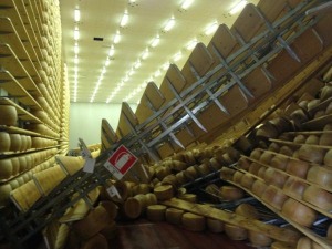 Terremoto Emilia, Coldiretti: sciacalli su Grana e Parmigiani terremotati, danni per 220mln euro