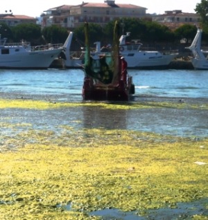 Scandalo dragaggio porto canale: ancora una riunione, questa volta con il sottosegretario