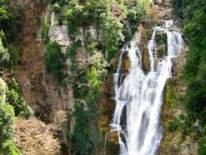 L'abetina di Rosello e la cascata del Rio Verde