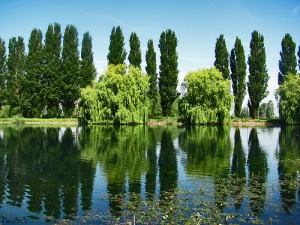 Avezzano, inaugurato il museo sul prosciugamento del lago del Fucino