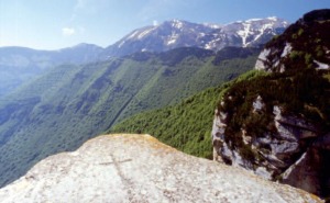 Le Incisioni pastorali della Maiella