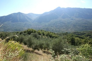 Comunità Montana Marsicana Valle Roveto
