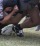A Paganica il big match Gran Sasso - Colleferro