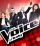 The Voice of Italy: il nuovo talent show di Rai 2