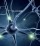 ECM: possibili traslazioni nella malattia di Parkinson