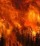  Piromane arrestato a Vasto, l'accusa incendi ad auto e terreni 