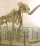 L'Aquila, a maggio inizia il restauro dell'amatissimo Mammuthus meridionalis grazie ai fondi GdF