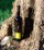 All'Open space dell'ingegno contadino giovane abruzzese propone l'olio extravergine spray