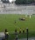 Gran Sasso Rugby, sconfitta con Colorno: fallito l'assalto alla serie A