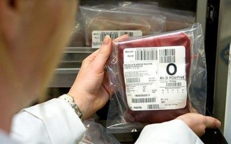 Escludere I Gay Dalle Donazioni Di Sangue Ora Si Pu In Europa Cronaca Dal Mondo Abruzzo Ore