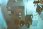 Due uomini incappucciati sono poi fuggiti in due auto