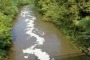 Rapporto ISPRA; rinvenuti nell'acqua 166 tipi di pesticidi