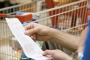 Commercio: Coldiretti, tagli a qualità e quantità per sette famiglie su dieci