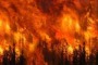 Piromane arrestato a Vasto, l'accusa incendi ad auto e terreni