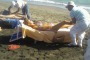Beatrice Lorenzin massaggio sulla spiaggia