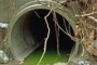 Scarichi illeciti: Corpo Forestale sequestra lavanderia industriale