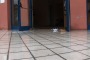 La barchetta aquilana