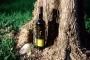 All'Open space dell'ingegno contadino giovane abruzzese propone l'olio extravergine spray