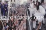 Amici 2013
