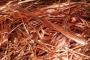 Sono stati trafugati dalla linea elettrica di Villa Marcucci