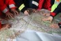Protezione Civile, la regione aiuta i comuni per " Piano emergenze"