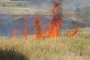 Incendio sterpaglie